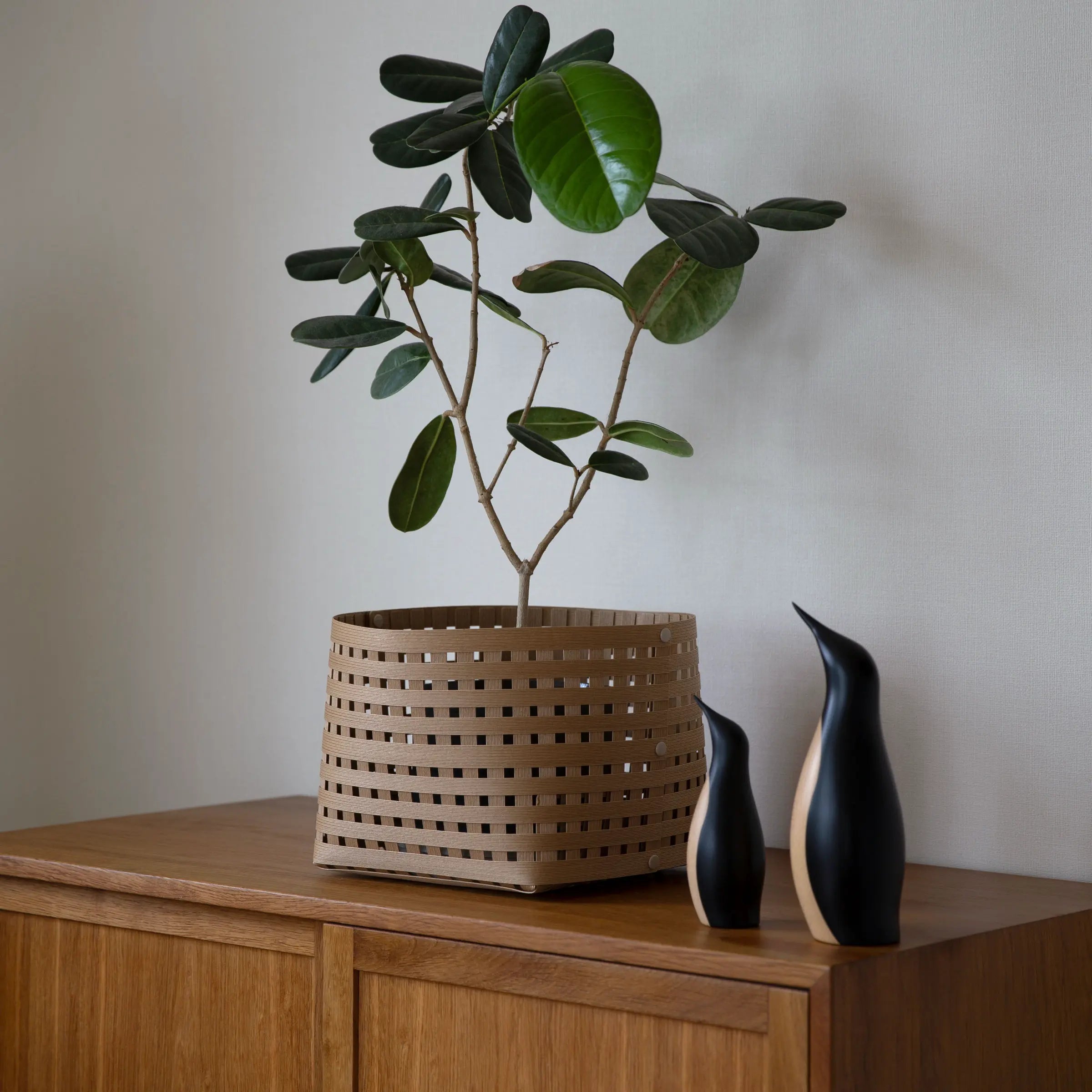 バンドシー バスケット M3