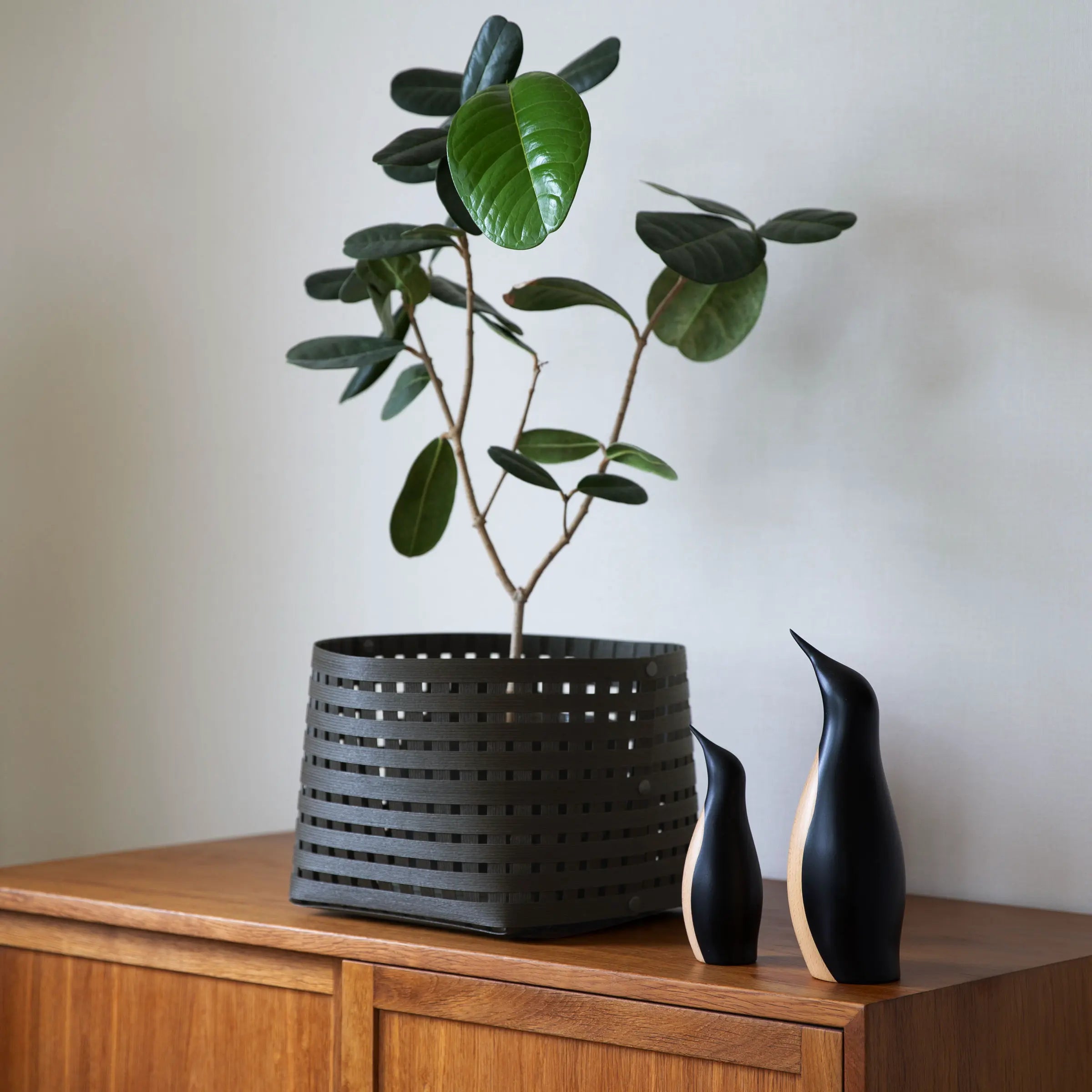 バンドシー バスケット M3