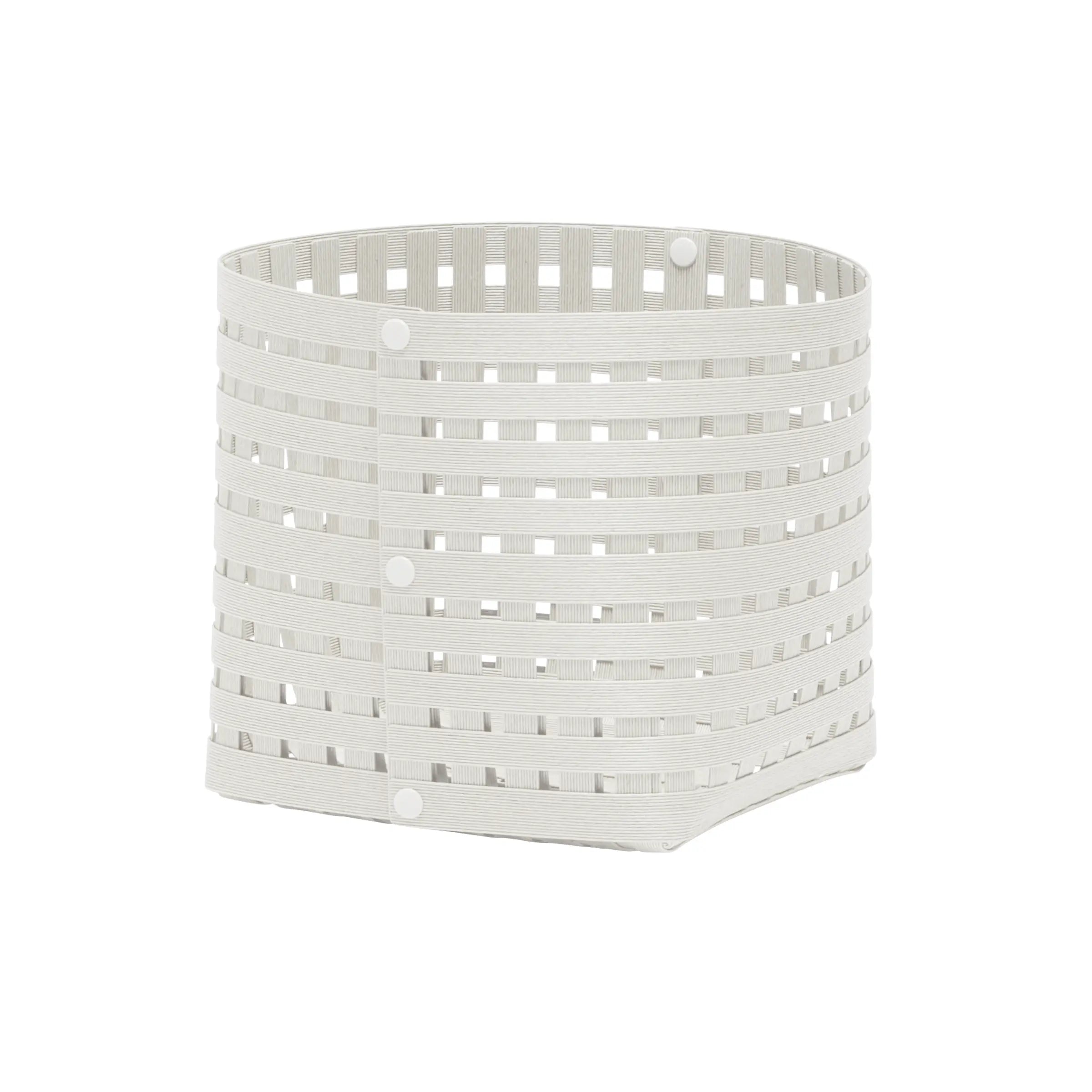 #カラー_ホワイト