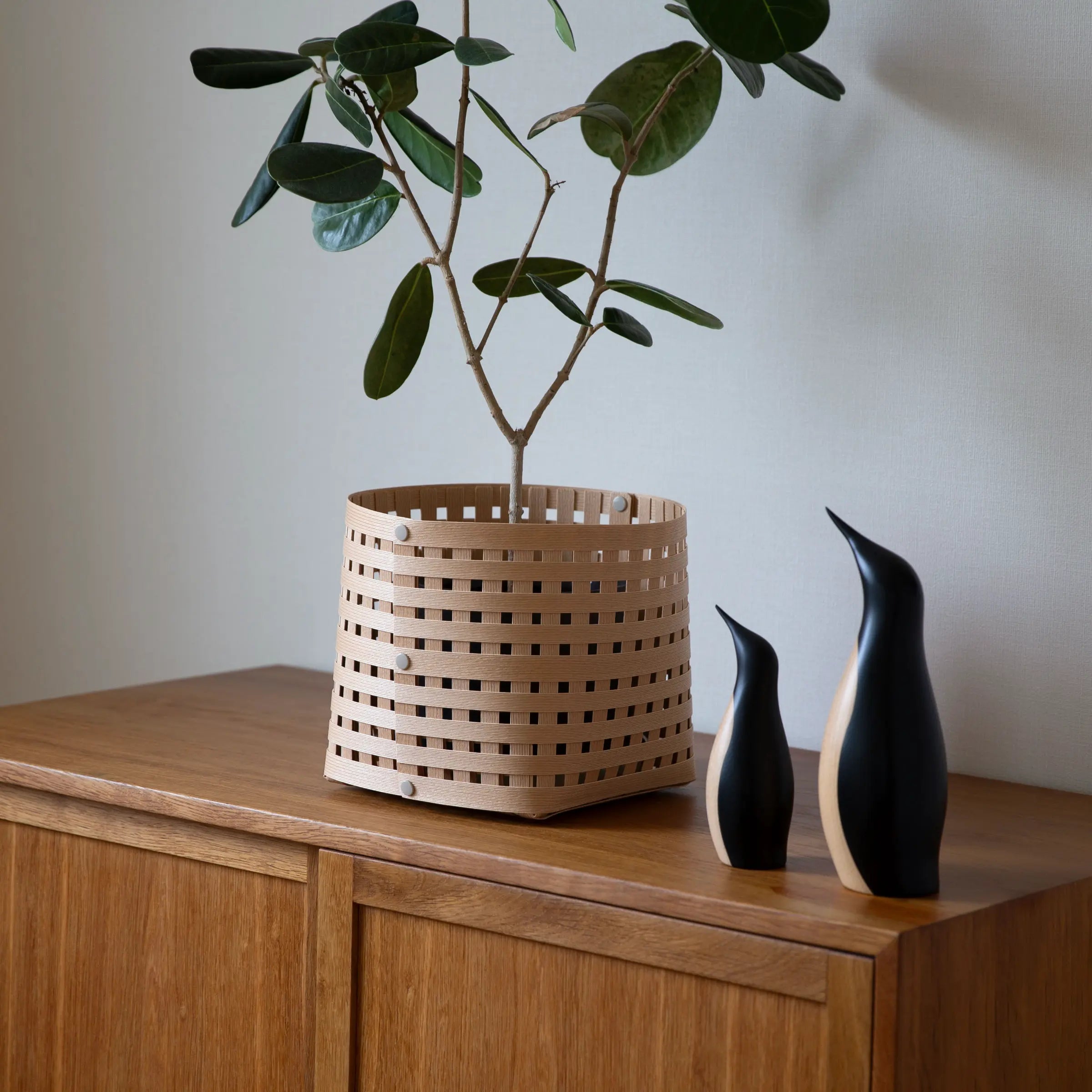 バンドシー バスケット S3